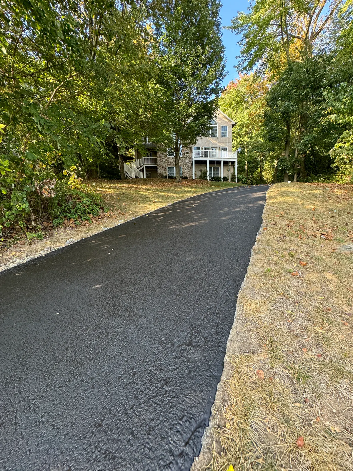 Private lane with fresh asphalt through the trees