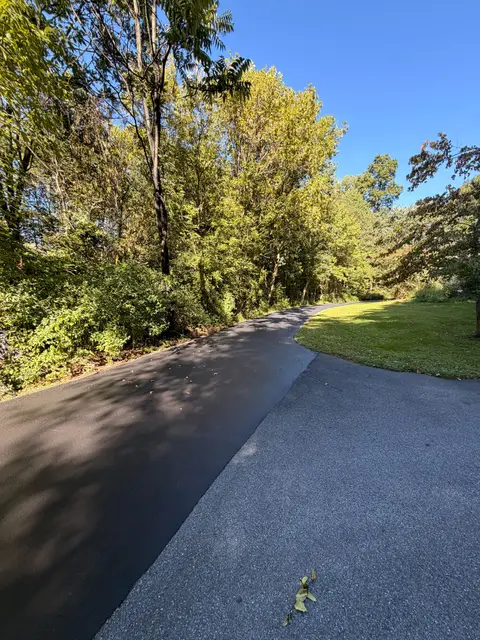 Sealcoated driveway curving through a wooded yard